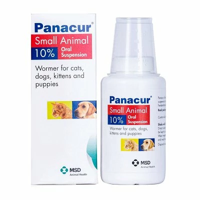 Panacur Oral Suspension For Dogs And Cats 1 Panacur Oral Suspension For Dogs And Cats