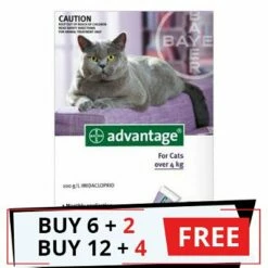 Bayer Advantage Cats Over 9lbs (Purple)