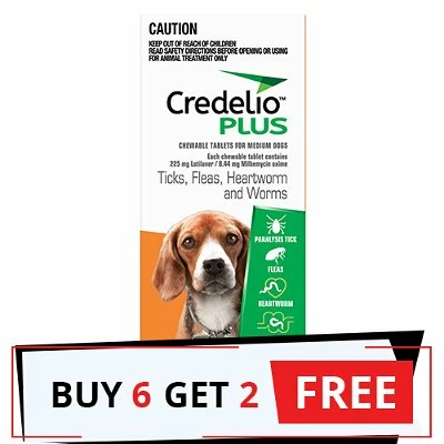 Credelio Plus For Medium Dog 5.5-11kg (Orange) 1 Credelio Plus For Medium Dog 5.5-11kg (Orange)