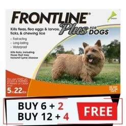 Frontline Plus For Small Dogs Up To 22lbs (Orange)