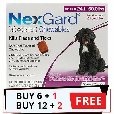 Nexgard Chewables For Large Dogs 24.1-60 Lbs (Purple) 68mg 7 Nexgard Chewables For Large Dogs 24.1-60 Lbs (Purple) 68mg -Headsupfortails Shop nexgard chewables for large dogs 241 60 lbs purple 68mg free bf23
