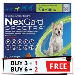 Nexgard Spectra Tab Medium Dog 16.5-33 Lbs Green