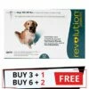 ZOETIS Revolution For Large Dogs 40.1-85lbs (Green)