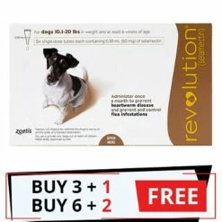 ZOETIS Revolution For Small Dogs 10.1 - 20lbs (Brown)