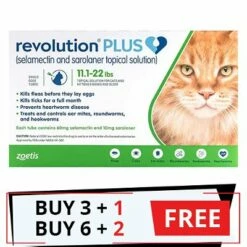 ZOETIS Revolution Plus For Large Cats 11-24lbs (5-10Kg) Green