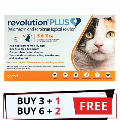 ZOETIS Revolution Plus For Medium Cats 5.5-11lbs (2.5-5Kg) Orange -Headsupfortails Shop revolution plus for medium cats 55 11lbs 25 5kg orange free bf23